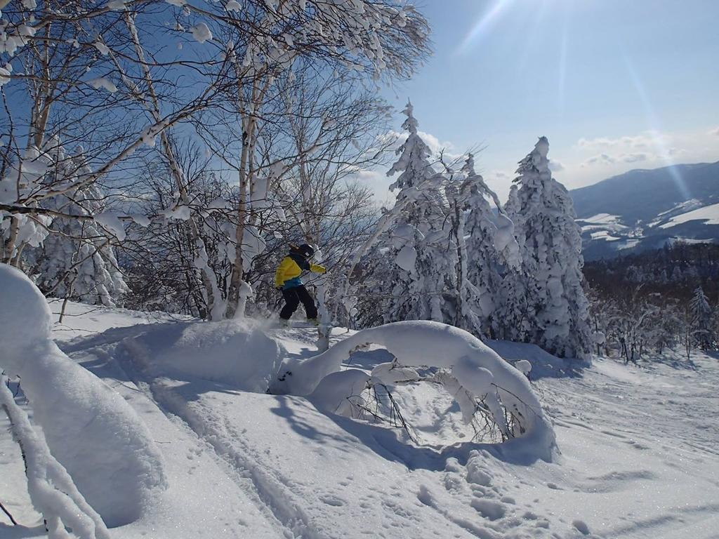 Hoshino Resorts Asahikawa Grand Hotel Eksteriør billede